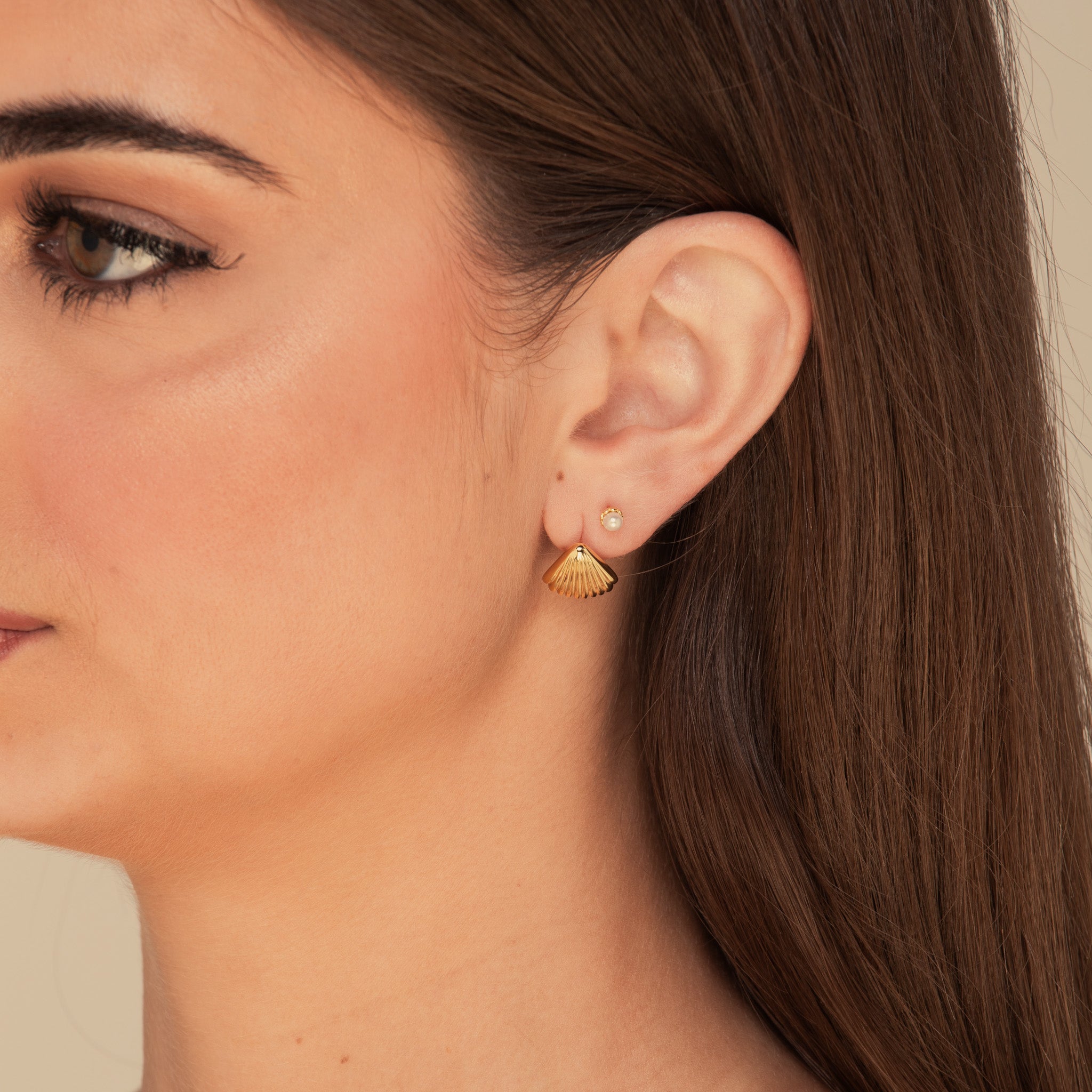 Shell Earrings Gold